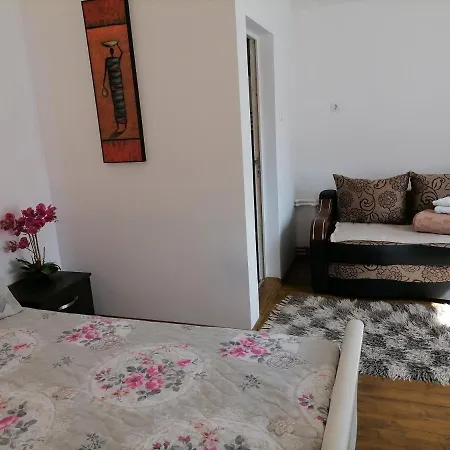Pensiunea Izabel Guest house