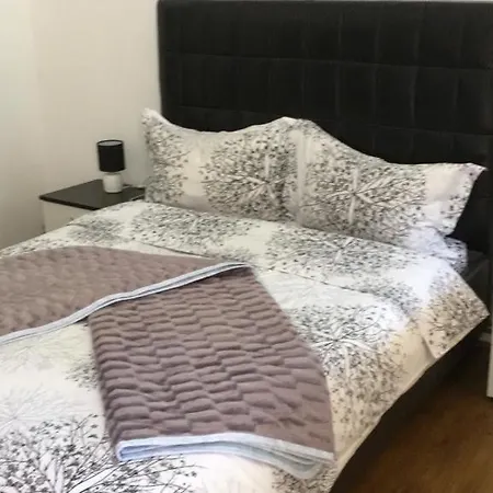 Guest house Pensiunea Izabel 2*