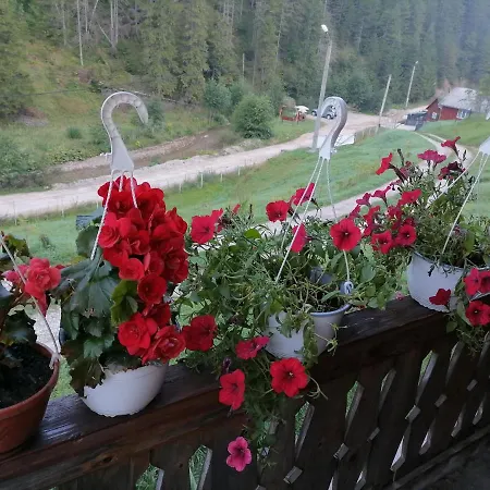 Pensiunea Izabel Guest house
