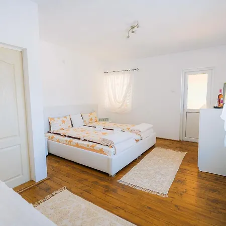 Guest house Pensiunea Izabel